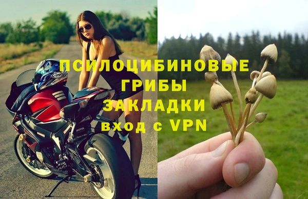 не бодяженный Алзамай
