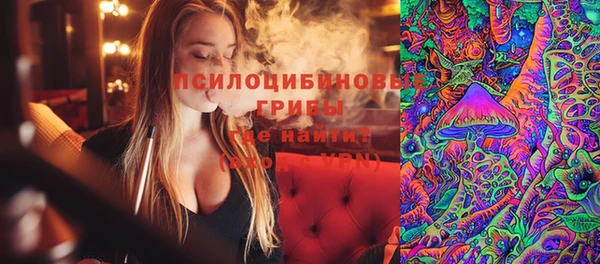 прущий лед Абаза
