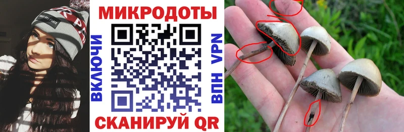 Галлюциногенные грибы MAGIC MUSHROOMS  купить  цена  гидра рабочий сайт  Ачхой-Мартан 